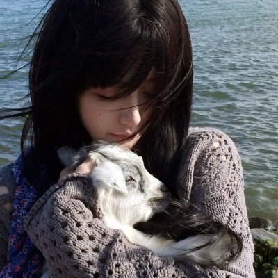 家有儿女之神犬当家